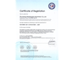 ISO 9001